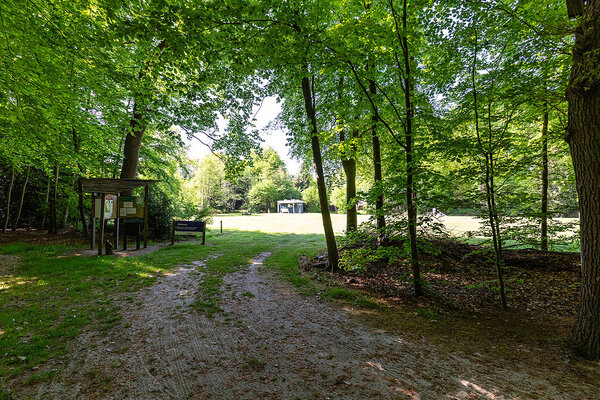 Natuurcamping Ikenhiem_Wijnjewoude_7_Alliade.jpg