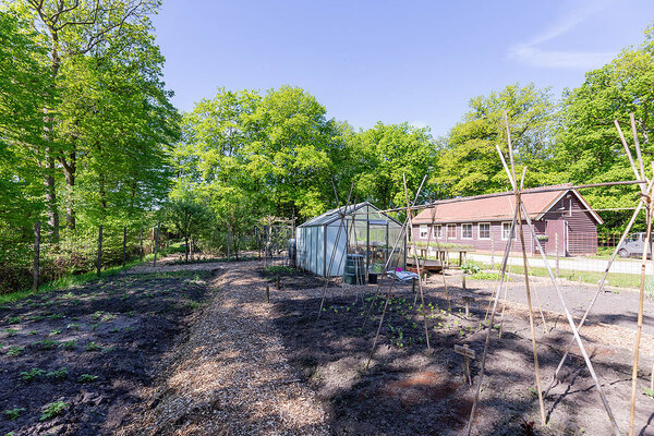 Natuurcamping Ikenhiem_Wijnjewoude_2_Alliade.jpg